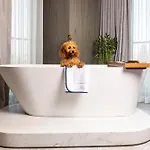 The Maestro Hotel 4*