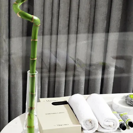 Hotel The Maestro 4*