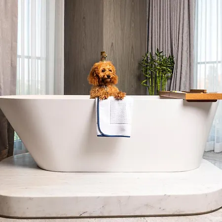 The Maestro Hotel 4*