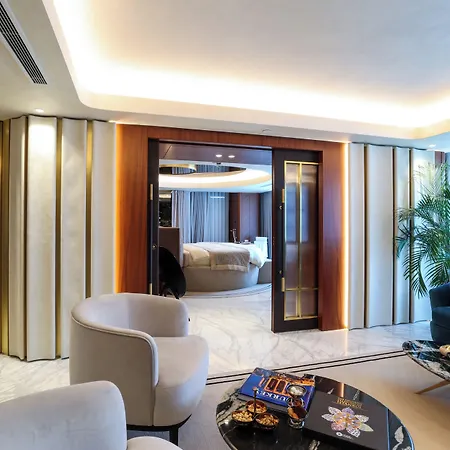 Hotel The Maestro 4*