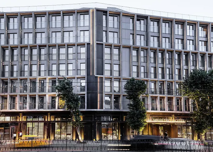 Hotel The Maestro 4*