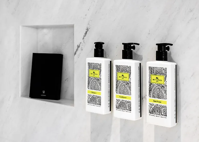 The Maestro Hotel Istanboel