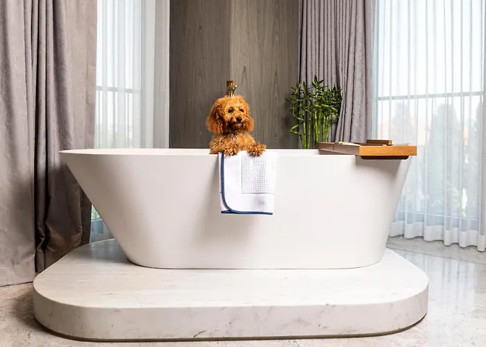 The Maestro ホテル 4*